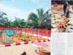 VIRAL: Fii Proyek di Diknas BU, 38 Paket Kegiatan Jadi Sorotan Publik