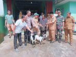 Ketahanan Pangan 2024 Pemdes Pasar Palik Salurkan Bantuan Kambing Kepada Warga
