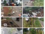 Dinas Kebersihan DLH, Kelayan Sampah Berserak Di Pinggiran Jalan Kabupaten Kepahiang Ada Apa,?