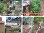 Realisasi dan Penggunaan (DD) Desa Sengkuang Kec.Tanjung Agung Palik Kabupaten Bengkulu Utara tahun 2023 – 2025 Diduga Mark up.