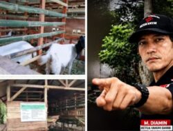 Pengadaan Kambing Untuk Ketahanan Pangan Hewani Di Desa Teran Tenangan Jaya Diduga Jadi Ajang Korupsi.