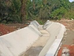 *Meluruskan Isu 800 Meter, Peltek Seluma: Itu Hanya Normalisasi Bukan Proyek Utama*